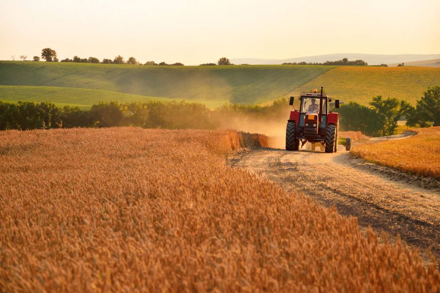 Painel RBS Notícias destaca o papel das máquinas agrícolas e da tecnologia para o campo