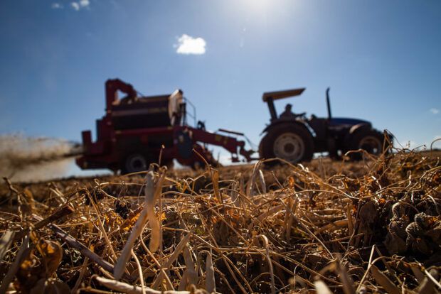 A força de Chapecó: Uma cidade com a essência do agronegócio